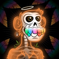 ASTRAL APE 04508
