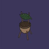 Acorn chair