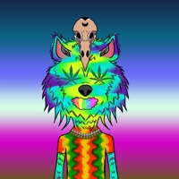 WAX Wolves  03726