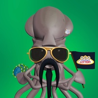 Mr. Squid 247