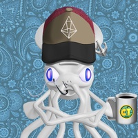 Mr. Squid 365