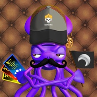 Mr. Squid 729