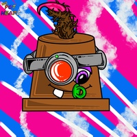 WPH S1: Recreational Vibez PFP 376