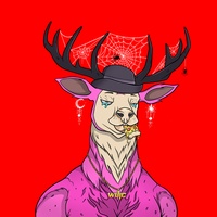   01555