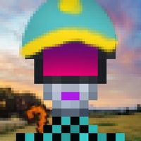 Pixal 00535