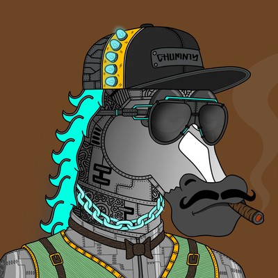 MR CHUMMY 🐴 571