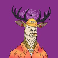   05944