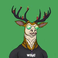   06008