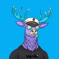   06110