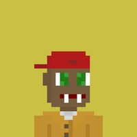 Pocket Person 0446
