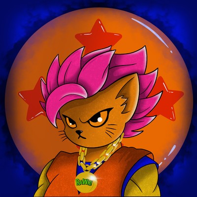 Kitty Ball Z  0079