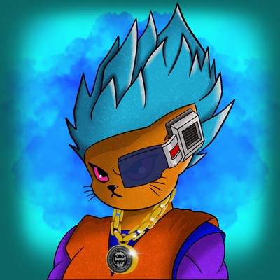 Kitty Ball Z  2588
