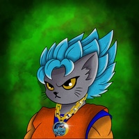 Kitty Ball Z  2747