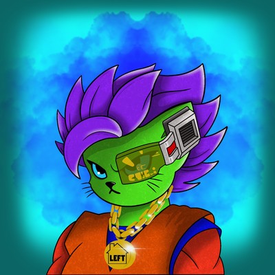 Kitty Ball Z  2876