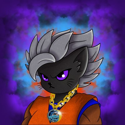 Kitty Ball Z  3193