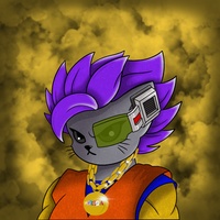 Kitty Ball Z  3481