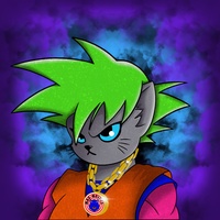 Kitty Ball Z  4010