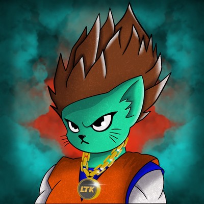 Kitty Ball Z  5514