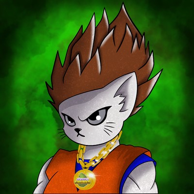 Kitty Ball Z  6223