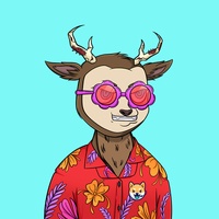 Fawn #1239
