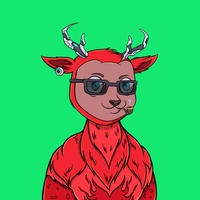 Fawn #1256