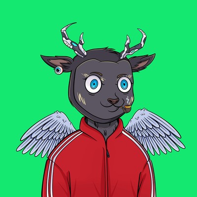 Fawn #1343