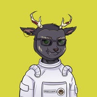 Fawn #1457