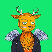 Fawn #1568