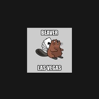 Beaver 02