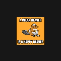 Beaver 08