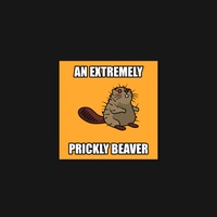 Beaver 09