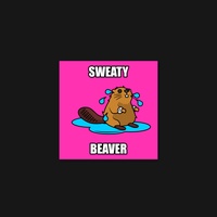 Beaver 11