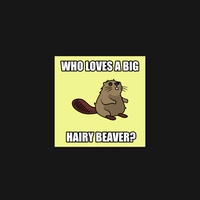 Beaver 12