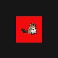 Beaver 13