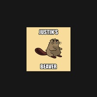 Beaver 15