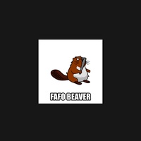 Beaver 16