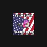 Beaver 17