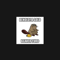 Beaver 18