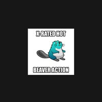 Beaver 19