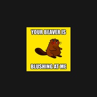 Beaver 24