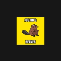 Beaver 27