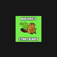 Beaver 28