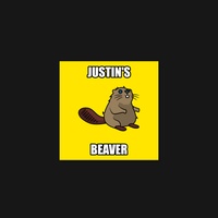 Beaver 29