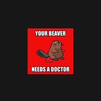 Beaver 39