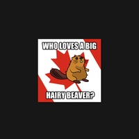 Beaver 43