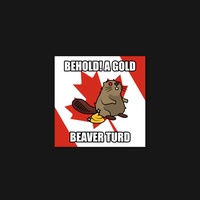 Beaver 44