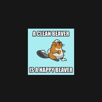 Beaver 50