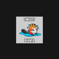 Beaver 51