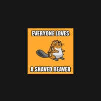 Beaver 52