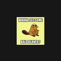 Beaver 54